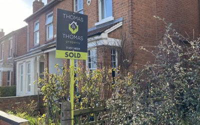 Our eye catching new boards